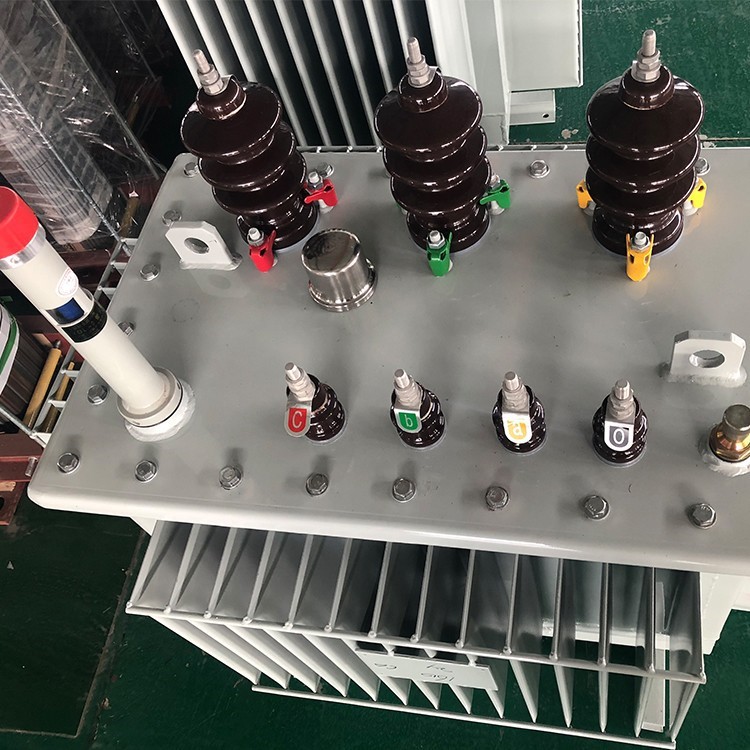 100 KVA 3 Phase Oil Coole Distribution Transformer 4.jpg