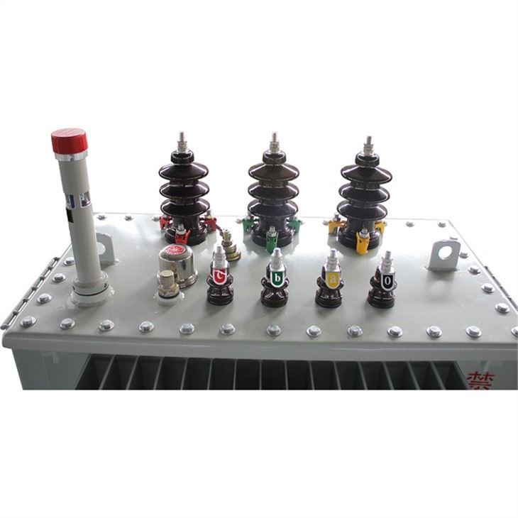 Indoor Oil Type Electrical Transformer
