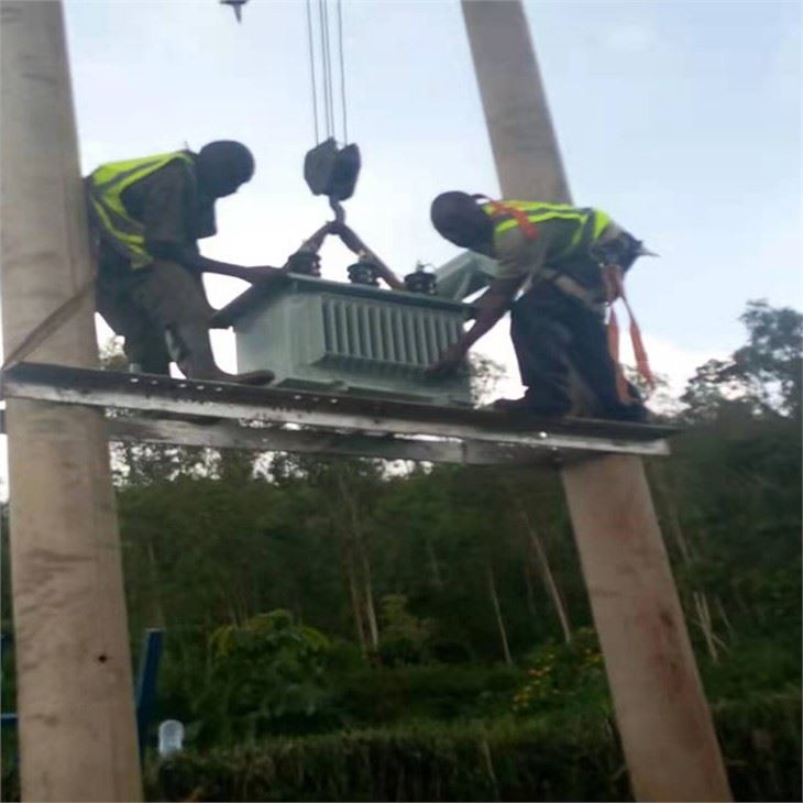 Three Phase Electric Power Pole Mounted Distribution Transformer