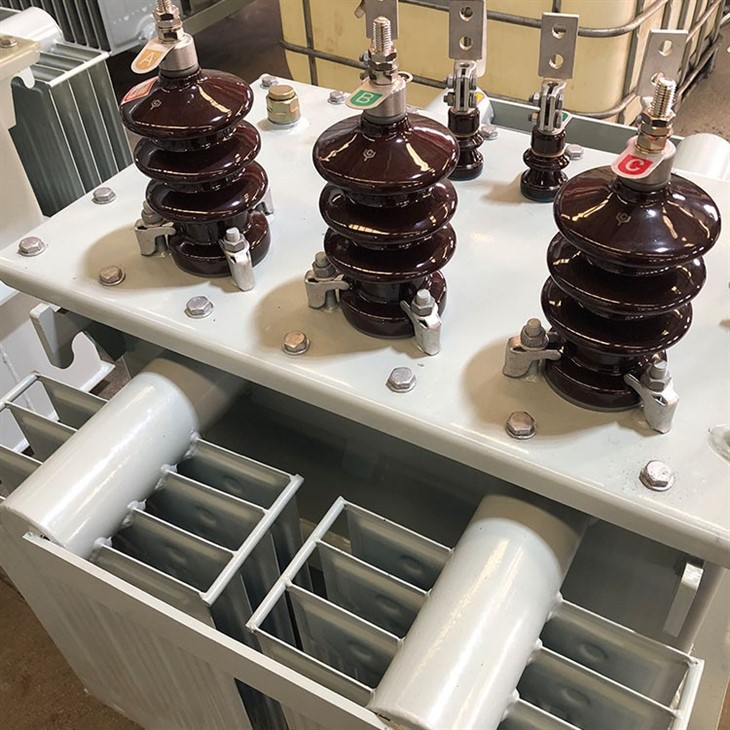 100 KVA Pole Mounted Transformer